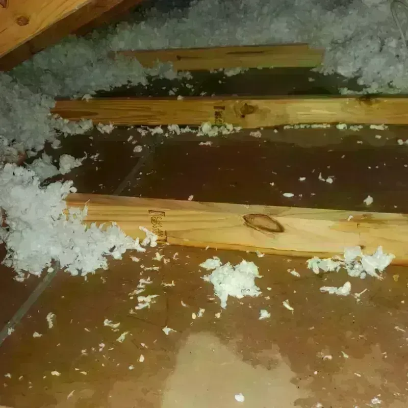 Attic Water Damage in Laurel, VA