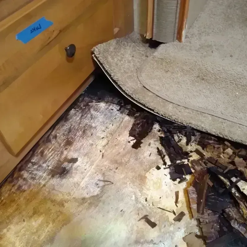 Best Wood Floor Water Damage Service in Laurel, VA